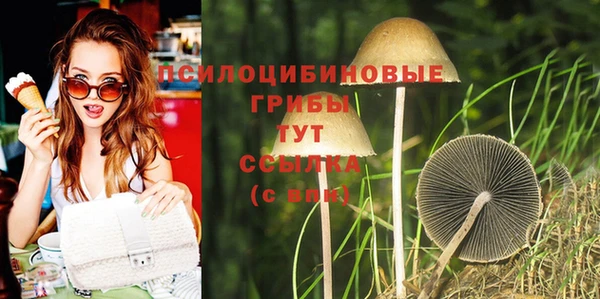 а пвп мука Абдулино